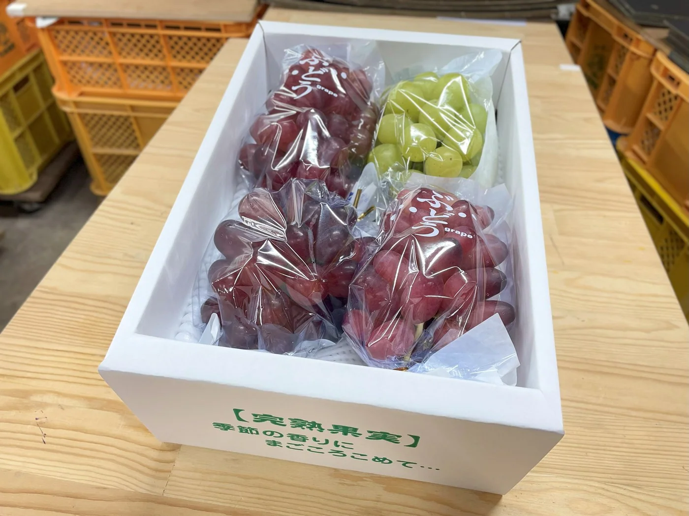 旬のぶどう詰め合わせ 2A