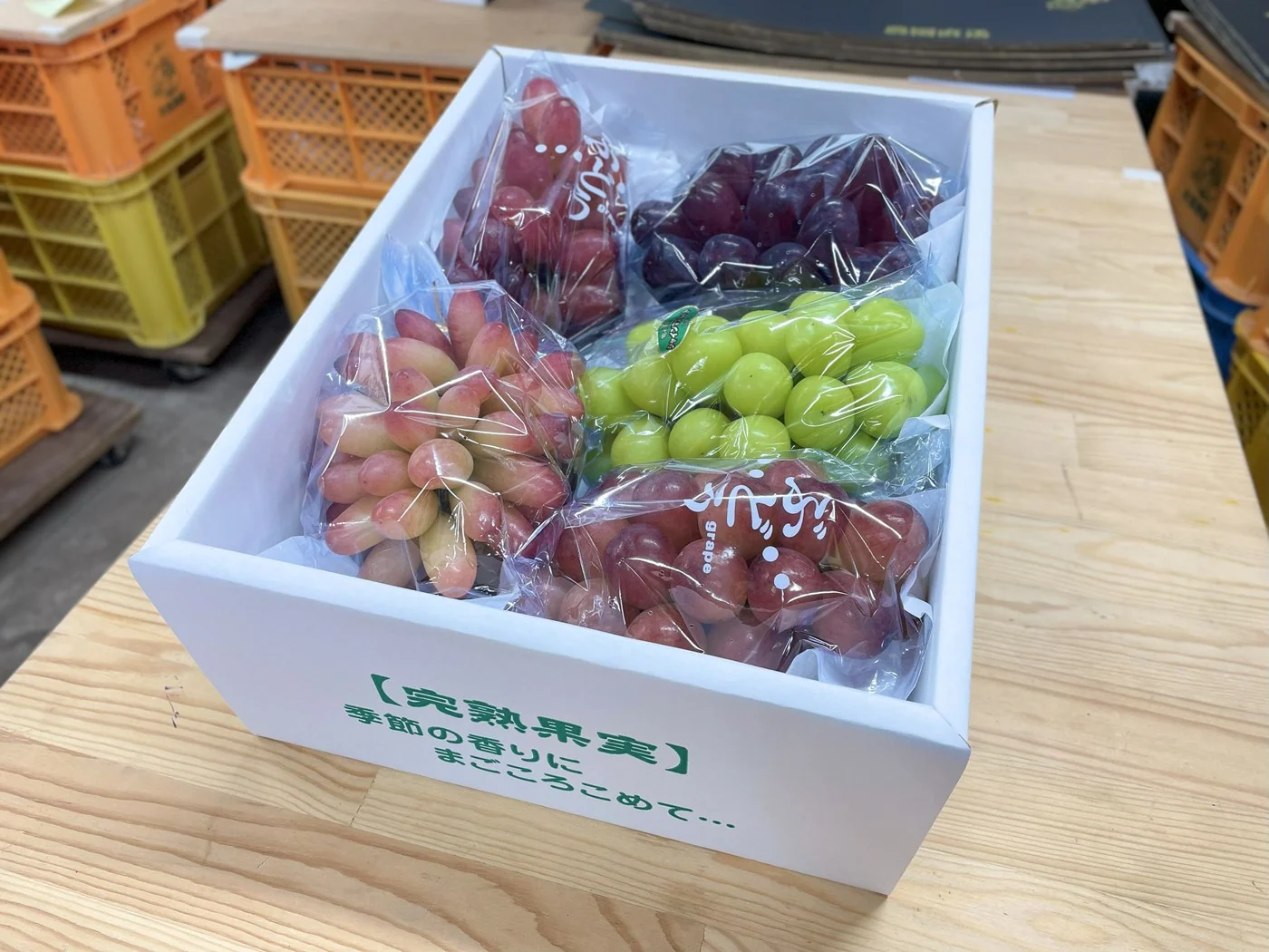 旬のぶどう詰め合わせ 3B