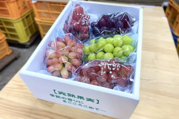 ぶどう終盤戦！今年は1箱に6房入りです ご注文はお早めに！