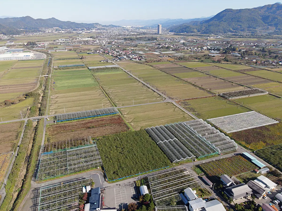 秋葉農園上空からの景色