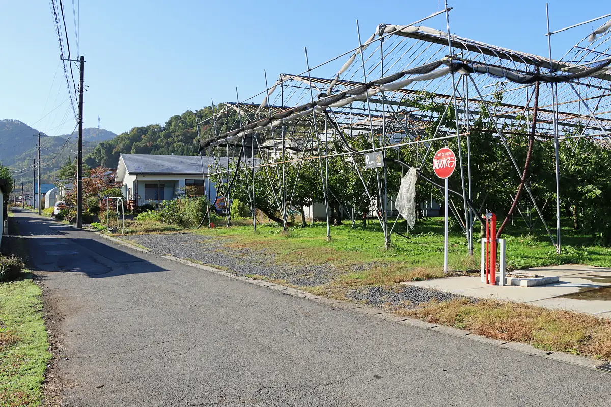 さくらんぼ畑前 駐車場(1)