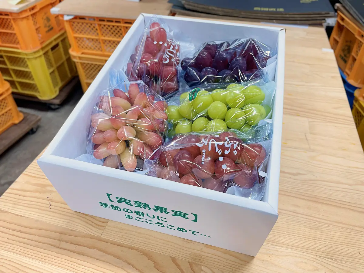 「3kg 詰め合わせ」の商品例