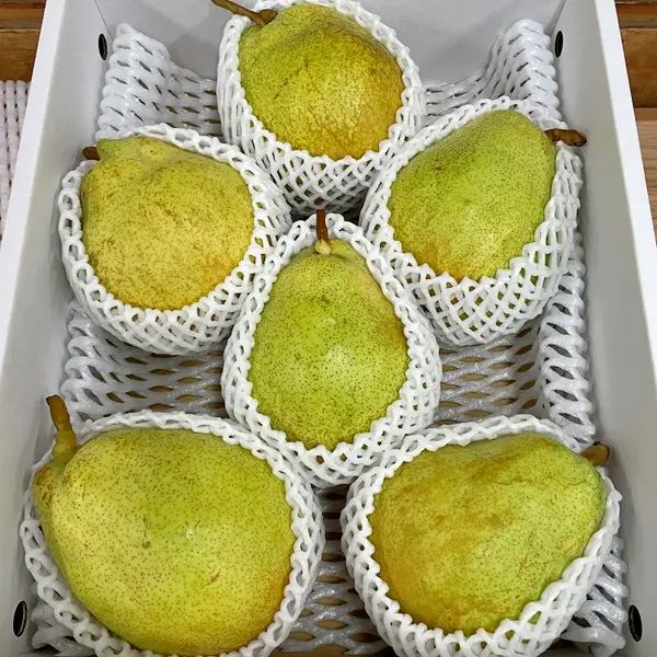 西洋梨